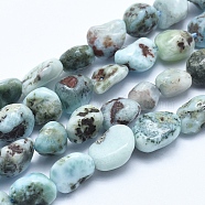Natural Larimar Bead Strands, Tumbled Stone, Nuggets, 5~8mm, Hole: 0.8mm, about 45~47pcs/strand, 15.7 inch(40cm)(G-E483-47)