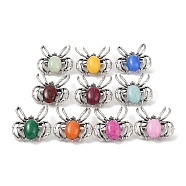 Natural White Jade Brooches, with Alloy Findings, Spider, Antique Silver, Dyed, 37x34x8mm(G-A224-01AS-19)