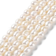 Natural Cultured Freshwater Pearl Beads Strands, Two Side Polished, Grade 5A, Seashell Color, 8~9x7~8x6~7mm, Hole: 0.6mm, about 39~40pcs/strand, 13.39''(34~35cm)(PEAR-Z002-21)