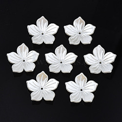ABS Plastic Imitation Pearl Beads, Flower, Creamy White, 25x26x5.5mm, Hole: 1.6mm(OACR-N012-001)