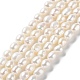 Natural Cultured Freshwater Pearl Beads Strands(PEAR-Z002-21)-1