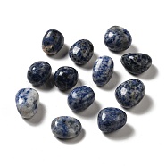 Natural Blue Spot Jasper Beads, Tumbled Stone, Healing Stones, for Reiki Healing Crystals Chakra Balancing, Vase Filler Gems, No Hole/Undrilled, Nuggets, 17~30x15~27x8~22mm(G-G979-A18)