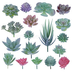 PVC Artificial Succulent Plant, Home Decoration, Pretending Prop Decorations, Mixed Color, 60~130x40~130mm, 18pcs/set(PW-WGE7F6E-07)