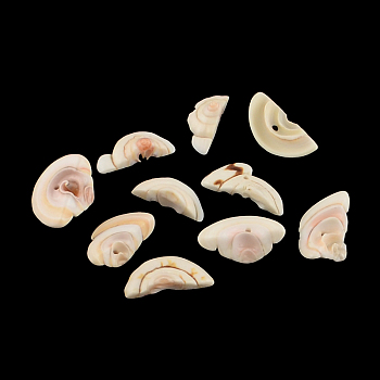 Natural Spiral Shell Beads, Shell Shards, Misty Rose, 13~18x6~11x4~8mm, Hole: 1mm, about 695pcs/500g