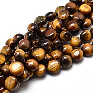 Natural Tiger Eye Nuggets Beads Strands, Tumbled Stone, 4~8x6~9x5~7mm, Hole: 1mm, about 15.3 inch~15.7 inch(G-J336-03)