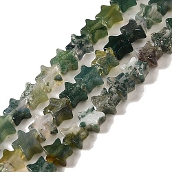Natural Moss Agate Beads Strands, Star, 6x5.5x2mm, Hole: 0.8mm, about 75pcs/strand, 14.57 inch(37cm)(G-G085-B17-02)