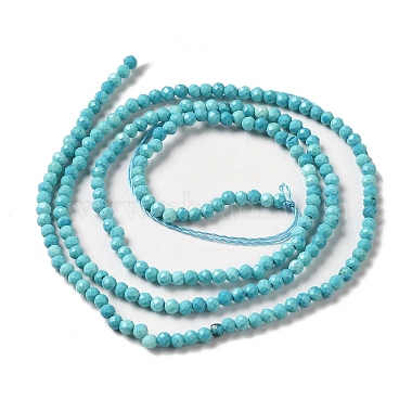 Natural Howlite Beads Strands(G-C025-02A-01)-3