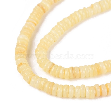 Natural Freshwater Shell Beads Strands(SHEL-Q028-01B)-3