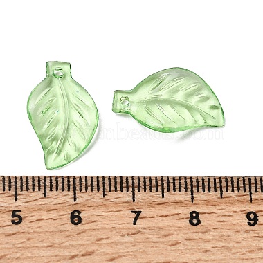 Transparent Acrylic Pendants(X-DBLA156-8)-3