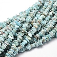 Natural Larimar Chip Beads Strands, 5~14x4~10mm, Hole: 1mm, about 15 inch(G-E271-77)
