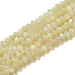 Natural Trochus Shell Rondelle Beads Strands, Saucer Beads, Pale Goldenrod, 3x2mm, Hole: 0.5mm, about 202~205pcs/strand, 15.94~16.14''(40.5~41cm)(SSHEL-H072-01A)