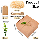 8Pcs Square Folding Kraft Paper Mailer Boxes(CON-CP0001-018C)-2