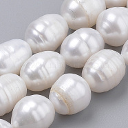 Natural Cultured Freshwater Pearl Beads Strands, Rice, Seashell Color, 10~14x9~10mm, Hole: 0.5mm, about 14pcs/strand, 6.69 inch(17cm)(PEAR-S012-43)