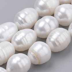 Natural Cultured Freshwater Pearl Beads Strands, Rice, Seashell Color, 10~14x9~10mm, Hole: 0.5mm, about 14pcs/strand, 7.34'(PEAR-S012-43)