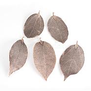 Electroplated Natural Leaf Big Pendants, with Iron Findings, Copper Plated, 55~85x25~40x1mm, Hole: 3x6mm(IFIN-Q119-02H)