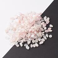 Natural Rose Quartz Beads, No Hole/Undrilled, Nuggets, Tumbled Stone, Vase Filler Gems, 9~15x6~10x3~7mm, about 1000pcs/1000g(G-F710-14)