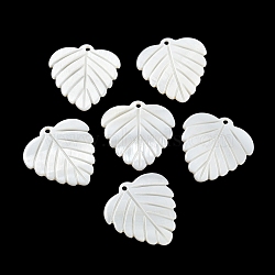 Natural Freshwater Shell Pendants, Leaf Charms, Seashell Color, 27x27x1.5~2mm, Hole: 1.6mm(BSHE-G034-20)