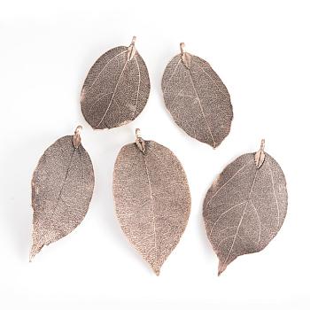 Electroplated Natural Leaf Big Pendants, with Iron Findings, Copper Plated, 55~85x25~40x1mm, Hole: 3x6mm