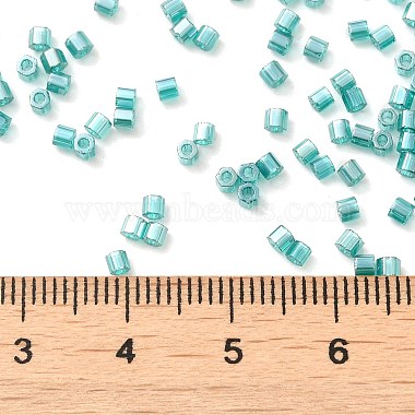Transparent Colours Luster Glass Seed Beads(SEED-S042-20B-07)-4