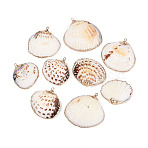 Electroplate Sea Shell Pendants, with Iron Findings, Light Gold, Seashell Color, 17~34x19~38x6~11mm, Hole: 1~1.8mm(SSHEL-T006-04)