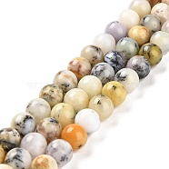 Natural African Opal Beads Strands, Round, 7.8~8.8mm, Hole: 0.8~1mm, about 46~49pcs/strand, 15.04~16.06''(38.2~40.8cm)(G-B048-B03-02)