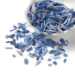 Natural Kyanite/Cyanite/Disthene Chip Beads Beads, No Hole Beads, 3~30x1~5x0.5~2mm(G-L588-01)