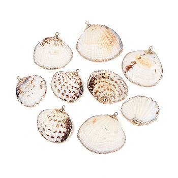 Electroplate Sea Shell Pendants, with Iron Findings, Light Gold, Seashell Color, 17~34x19~38x6~11mm, Hole: 1~1.8mm