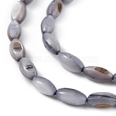 Natural Freshwater Shell Dyed Beads Strands(SHEL-M018-13-04)-3