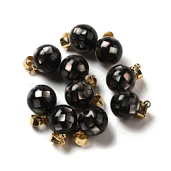 Natural Black Lip Shell Dyed Round Charms, with Golden Plated Brass Snap on Bails, Black, 14x10mm, Hole: 4.5x4mm(SSHEL-H071-01G-01)