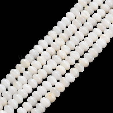 Natural Freshwater Shell Beads Strands(SHEL-C010-04B-02)-1