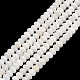 Natural Freshwater Shell Beads Strands(SHEL-C010-04B-02)-1