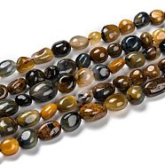 Natural Pietersite Beads Strands, Nuggets, Tumbled Stone, 5~8.5x5.5~7x3.5~4mm, Hole: 0.7mm, about 64pcs/strand, 16.34''(41.5cm)(G-G018-28)