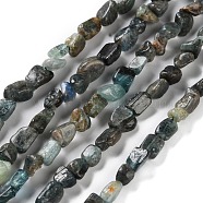 Natural Green Kyanite Beads Strands, Nuggets, Tumbled Stone, 4.5~11.5x3~7x3.5~6mm, Hole: 1.2mm, about 48~68pcs/strand, 15.35~15.94''(39~40.5cm)(G-P497-01C-56)