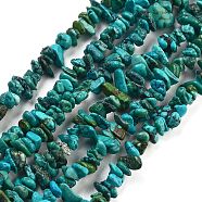 Natural HuBei Turquoise Beads Strands, Chip, 2~9x4~12mm, Hole: 0.5mm, 18.90''(48cm)(G-B089-A01-01)