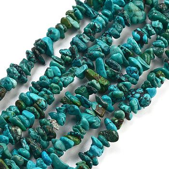 Natural HuBei Turquoise Beads Strands, Chip, 2~9x4~12mm, Hole: 0.5mm, 18.90''(48cm)