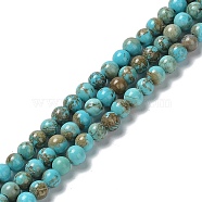 Natural Howlite Beads Strands, Dyed, Round, 4~4.5mm, Hole: 0.9mm, about 97pcs/strand, 15.31~15.35''(38.9~39cm)(G-E604-B03-B)