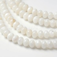 Dyed Natural Freshwater Shell Rondelle Bead Strands, Old Lace, 6x4mm, Hole: 1mm, about 91pcs/strand, 15.6 inch(X-BSHE-O016-19D)