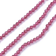 Faceted Glass Beads Strands, Round, Deep Pink, 2~2.5mm, Hole: 0.5mm, about 180~200pcs/strand, 14.5~16.1 inch(37~41cm)(X-G-F619-09D-2mm)