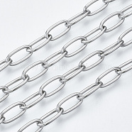 3.28 Feet 304 Stainless Steel Paperclip Chains, Drawn Elongated Cable Chainsl, Unwelded, Stainless Steel Color, 10x5x1mm(X-CHS-S001-06A-P)