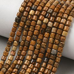 Natural Picture Jasper Beads Strands, Barrel, 4.5~5x4.5mm, Hole: 1mm, about 91~93pcs/strand, 14.57~14.76''(37~37.5cm)(GG-CBAC70A-A04)
