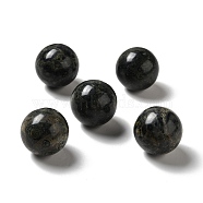 Natural Kambaba Jasper Beads, No Hole/Undrilled, Round, 25~25.5mm(G-A206-02-19)
