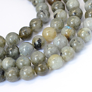 Natural Labradorite Round Bead Strands, 6~6.5mm, Hole: 1mm, about 63pcs/strand, 15.5 inch(X-G-E334-6mm-19)