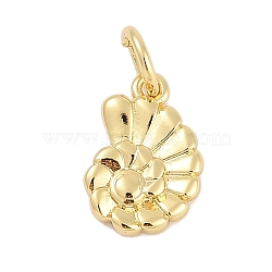 Rack Plating Brass Pendants, Conch Charms, Long-Lasting Plated, Lead Free & Cadmium Free, with Jump Ring, Real 18K Gold Plated, 11x7.5x2mm, Hole: 3mm(KK-Q028-24G)