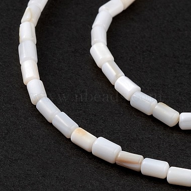 Natural Freshwater Shell Dyed Beads Strands(X-SHEL-M018-12-12)-4