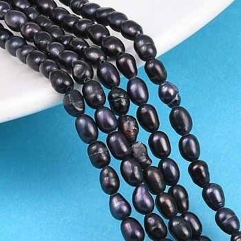 Natural Cultured Freshwater Pearl Beads Strands, Rice Beads, Dyed, Prussian Blue, 5~5.5x3~3.5mm, Hole: 0.5mm, about 70pcs/strand, 14.33''(36.4cm)