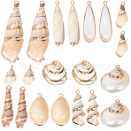 20pcs 10 styles Electroplated Spiral Shell Pendants, with Iron Findings, Golden, Seashell Color, 16~59x8~25x5~17mm, Hole: 1.2~1.8mm, 2pcs/style(SSHEL-SC0001-29)
