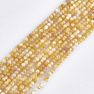 Yellow Shell Beads Strands, Round, Gold, 2.5~3mm, Hole: 0.5mm, about 150pcs/strand, 14.9 inch(SHEL-S274-93A)
