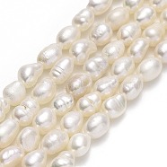 Natural Cultured Freshwater Pearl Beads Strands, Rice, Linen, 5~6.5x3.5~4mm, Hole: 0.6mm, about 61~62pcs/strand, 13.78''~13.97"(35~35.5cm)(PEAR-J006-10A-01)