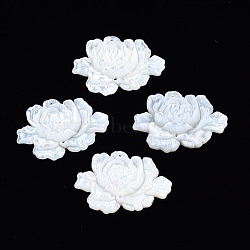 Natural White Shell Link Connectors, Flower, 22~23x32~33x4mm, Hole: 0.9mm(SSHEL-S258-103A)