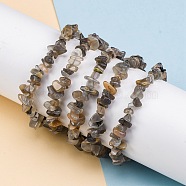 Natural Moonstone Chip Beaded Stretch Bracelets for Women Men, Inner Diameter: 2 inch(5.1cm)(BJEW-L038-01D)